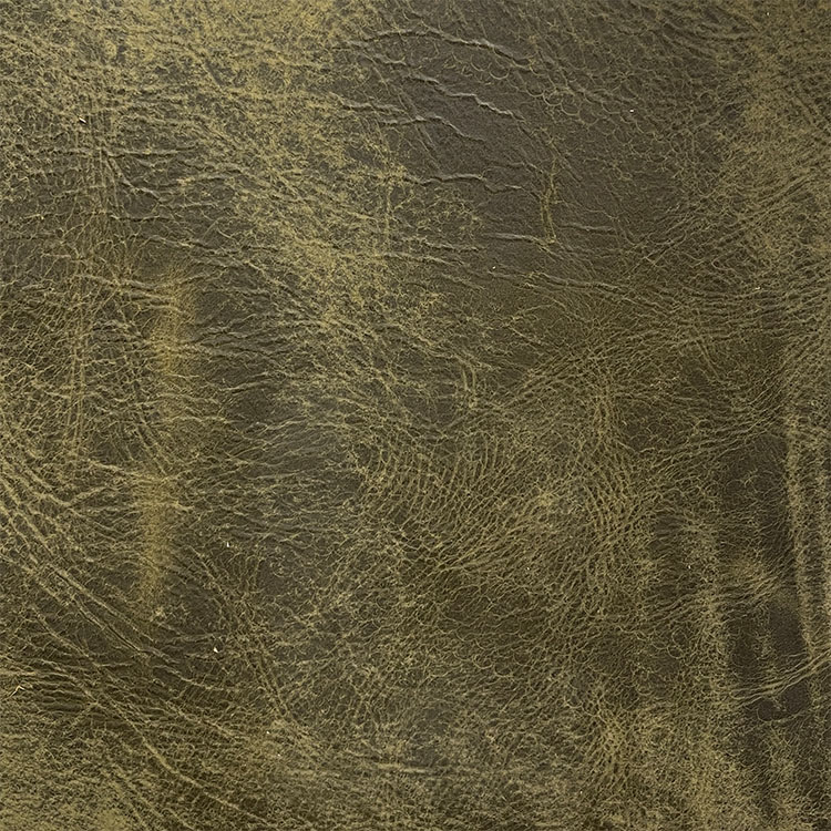 Grand Canyon Foresta