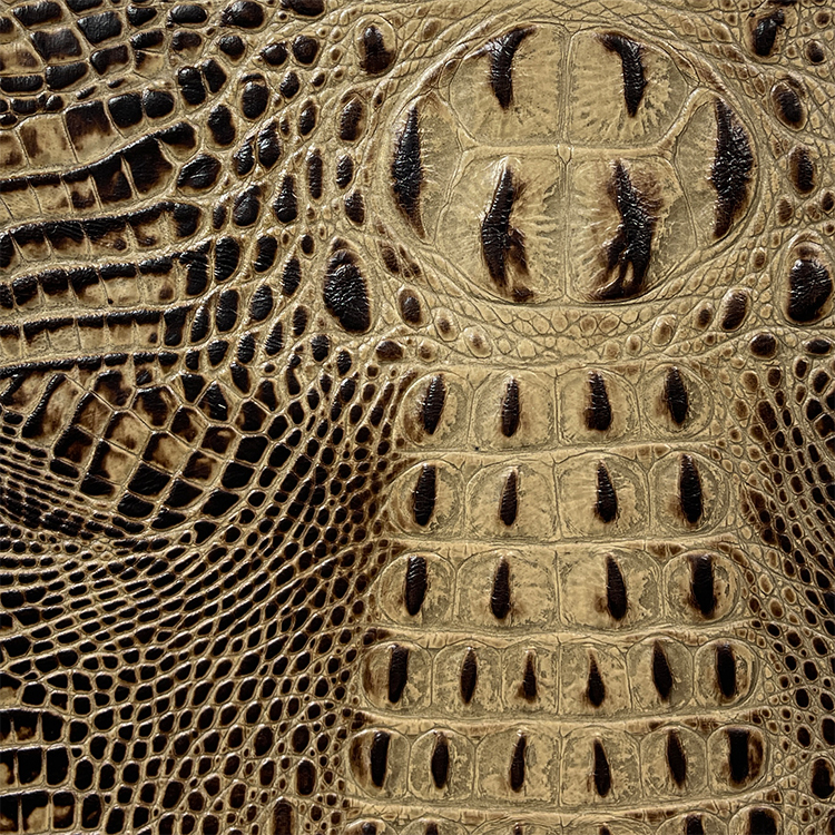 Designer Hornback Golden