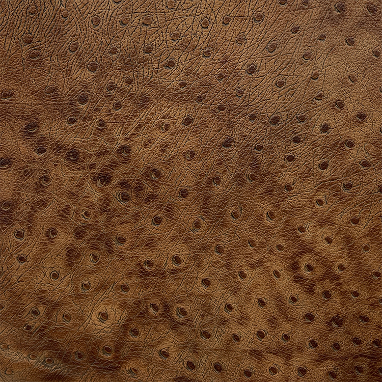 Designer LG-Ostrich Moccasin