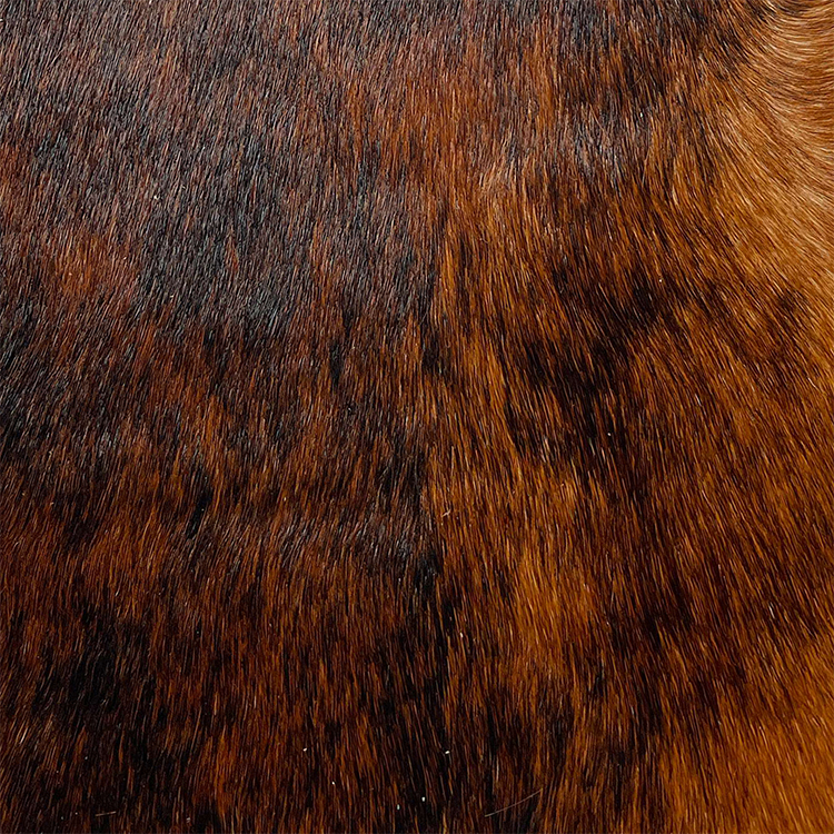 Designer Pony Brindle